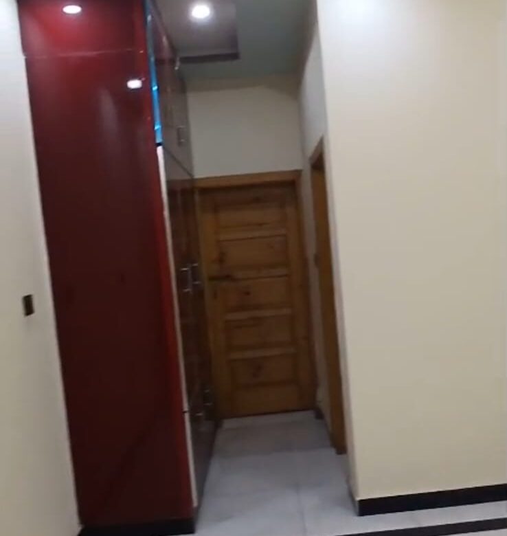 738
