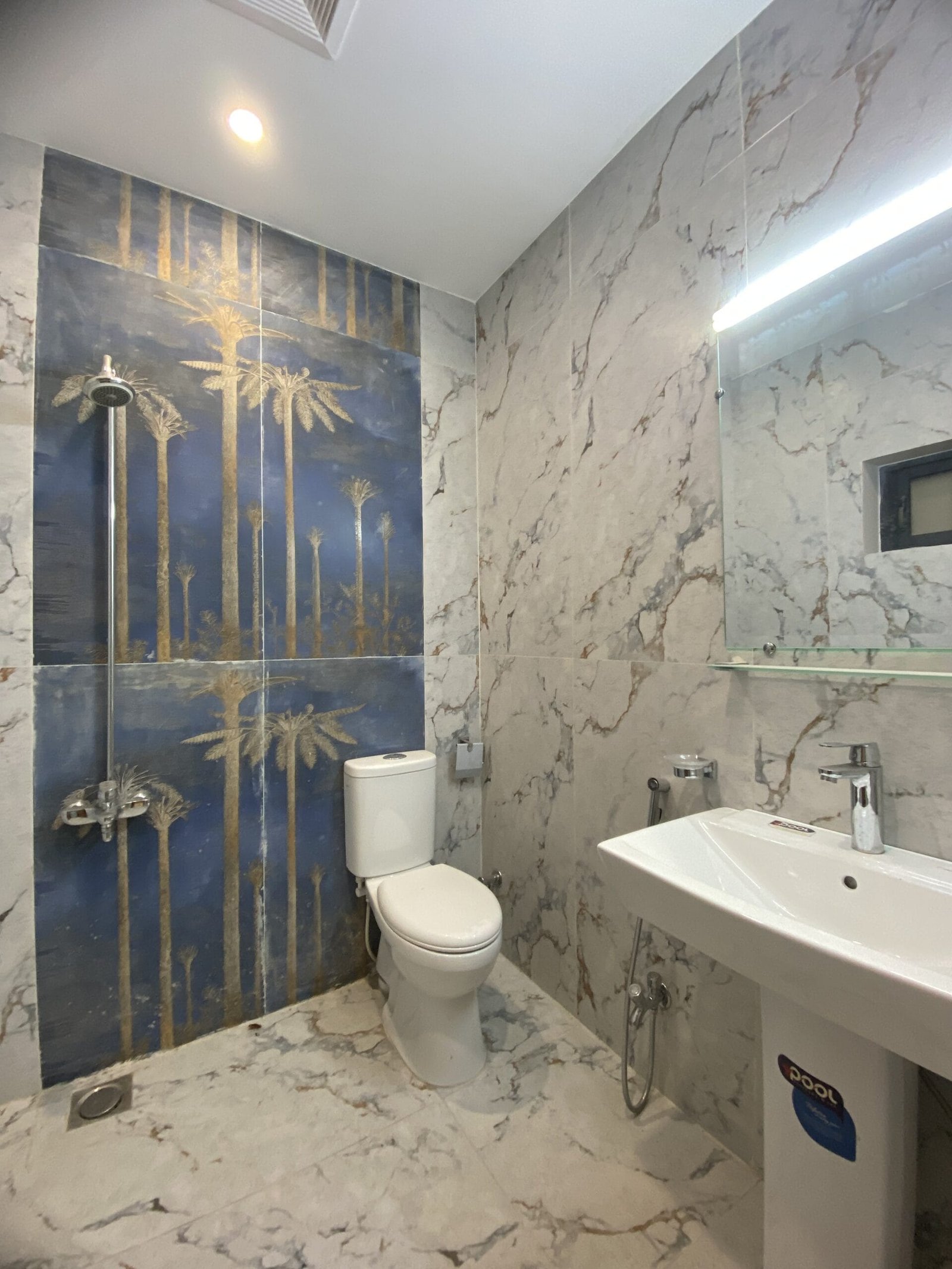 IMG_2051 8 Marla House For Sale with basement in Faisal Town A Block